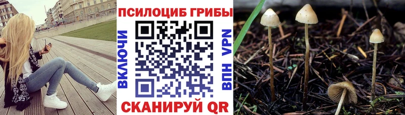 Псилоцибиновые грибы GOLDEN TEACHER  Рубцовск 
